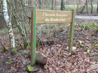 Sortie St Valentin 14 02 2016 (21)